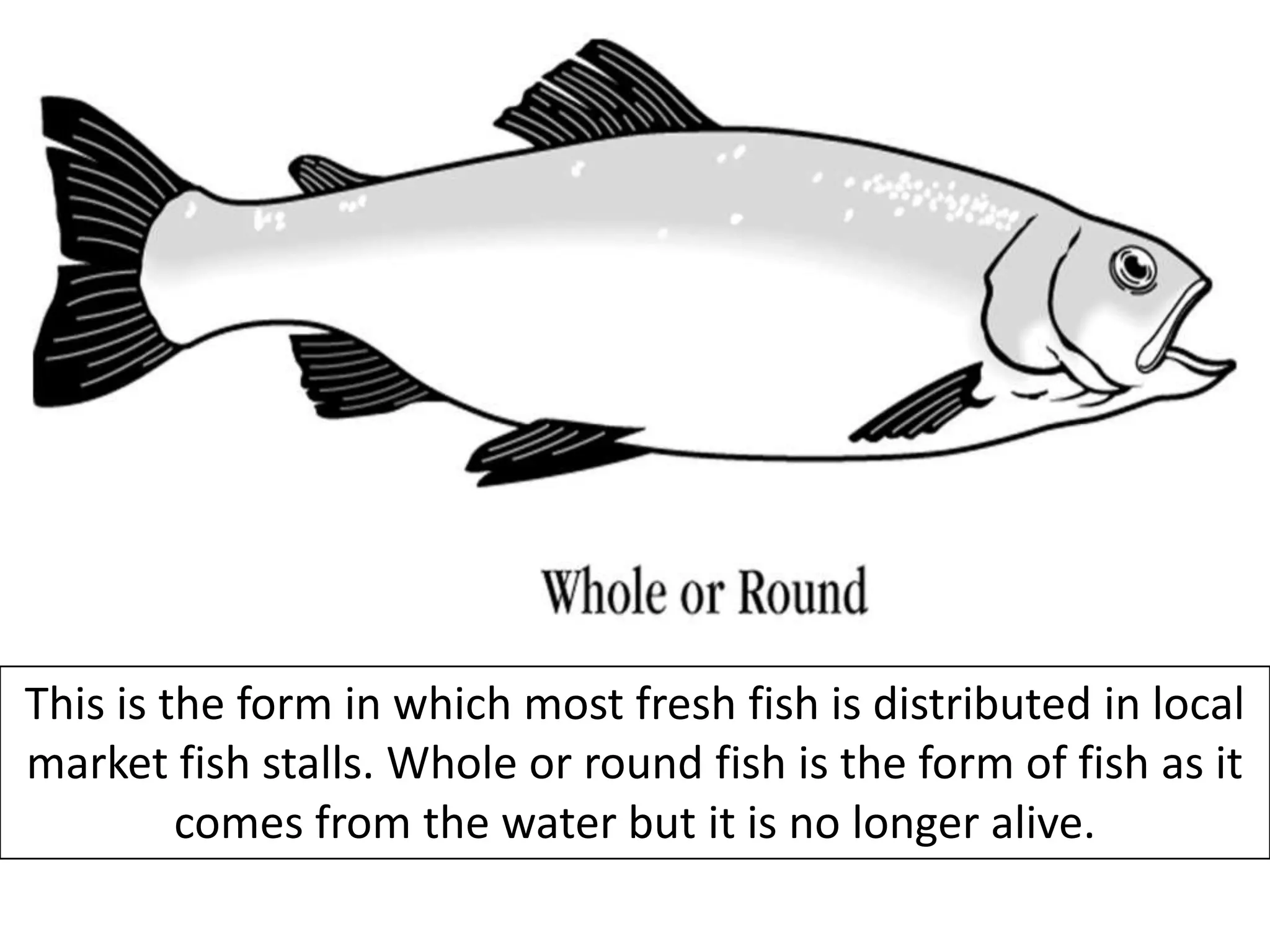 This is the form in which most fresh fish is distributed in local
market fish stalls. Whole or round fish is the form of fish as it
         comes from the water but it is no longer alive.
 