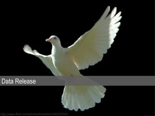 Data Release



http://www.flickr.com/photos/knowhim/336337024/
 