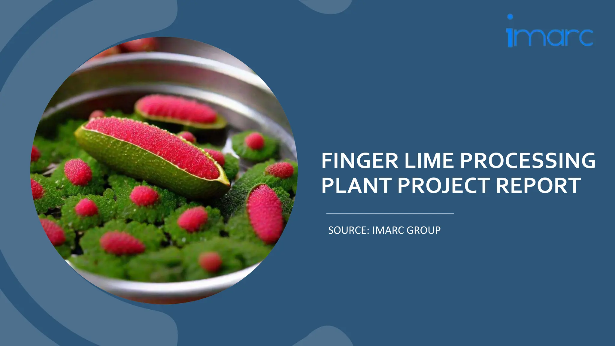 Project Report on Finger Lime Processing Plant | PPTX