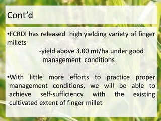 Cont’d 
•FCRDI has released high yielding variety of finger 
millets 
-yield above 3.00 mt/ha under good 
management conditions 
•With little more efforts to practice proper 
management conditions, we will be able to 
achieve self-sufficiency with the existing 
cultivated extent of finger millet 
 