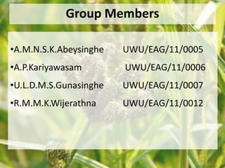 Group Members 
•A.M.N.S.K.Abeysinghe UWU/EAG/11/0005 
•A.P.Kariyawasam UWU/EAG/11/0006 
•U.L.D.M.S.Gunasinghe UWU/EAG/11/0007 
•R.M.M.K.Wijerathna UWU/EAG/11/0012 
 