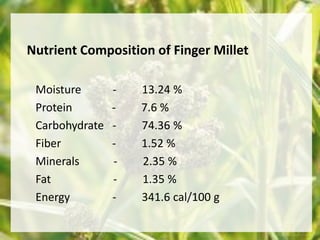 Nutrient Composition of Finger Millet 
Moisture - 13.24 % 
Protein - 7.6 % 
Carbohydrate - 74.36 % 
Fiber - 1.52 % 
Minerals - 2.35 % 
Fat - 1.35 % 
Energy - 341.6 cal/100 g 
 