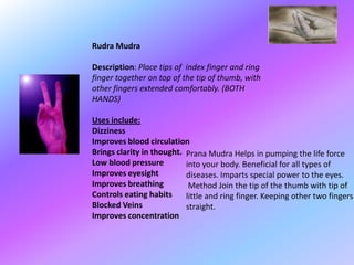 Rudra Mudra

Description: Place tips of index finger and ring
finger together on top of the tip of thumb, with
other fingers extended comfortably. (BOTH
HANDS)

Uses include:
Dizziness
Improves blood circulation
Brings clarity in thought. Prana Mudra Helps in pumping the life force
Low blood pressure         into your body. Beneficial for all types of
Improves eyesight          diseases. Imparts special power to the eyes.
Improves breathing          Method Join the tip of the thumb with tip of
Controls eating habits     little and ring finger. Keeping other two fingers
Blocked Veins              straight.
Improves concentration
 