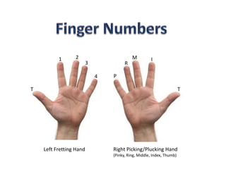 Left Fretting Hand Right Picking/Plucking Hand
(Pinky, Ring, Middle, Index, Thumb)
T
1 2
3
4
T
IM
R
P
 