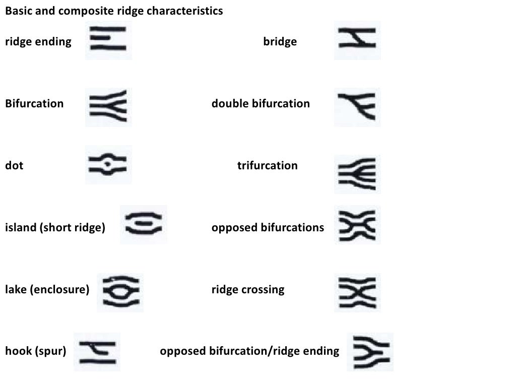 CSI'/ Forensics Fingerprint Identification