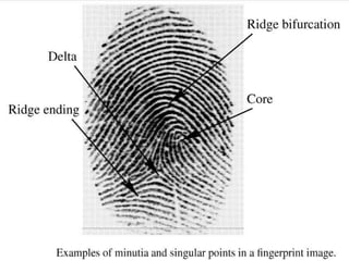 Finger print | PPTX