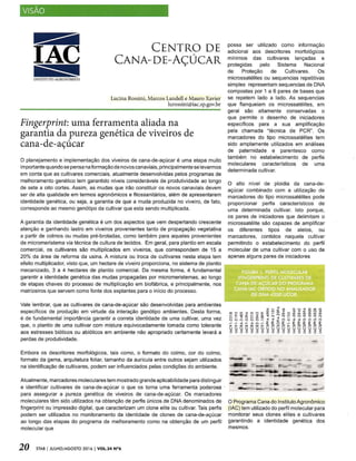 Fingerprint: uma ferramenta aliada na garantia da pureza genética de viveiros de cana-de-açúcar