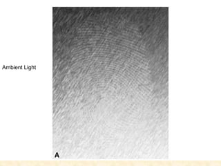 Ambient Light
 