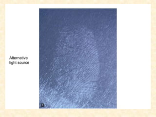 Alternative
light source
 