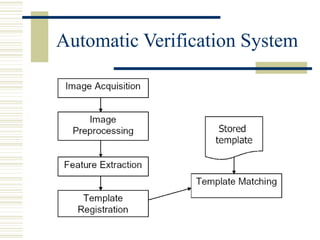 Automatic Verification System
 