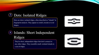 Dots: Isolated Ridges
Dots are short, isolated ridges, often described as "islands" in
fingerprint analysis. They appear as small, circular or oval
shapes.
3
Islands: Short Independent
Ridges
4
They're short, independent ridges that don't connect to
any other ridges. They resemble small, isolated islands in
a sea of ridges.
 