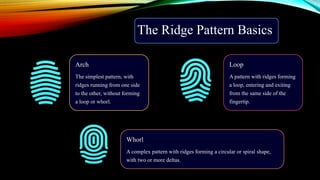 The Ridge Pattern Basics
Arch
The simplest pattern, with
ridges running from one side
to the other, without forming
a loop or whorl.
Loop
A pattern with ridges forming
a loop, entering and exiting
from the same side of the
fingertip.
Whorl
A complex pattern with ridges forming a circular or spiral shape,
with two or more deltas.
 