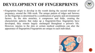 Evolutions Fingerprint What Are Derived Characteristics - jhvq32l