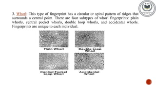 fingerprint characteristics | PPTX