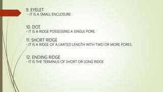 FINGERPRINT CHARACTERISTICS AND FORMATION - Copy.pptx