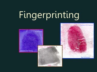 Fingerprinting
Crystal Violet
Red Fluorescent
Inked
Courtesy of C. Fanning
Courtesy of C. Fanning
Courtesy of C. Fanning
 