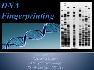 Fingerprinting pdf | PDF