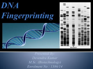 Presented By:
Devendra Kumar
M.Sc. (Biotechnology)
Enrolment No : 1386/14
 