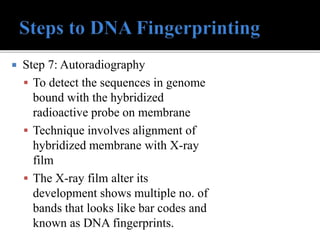 Fingerprinting pdf | PDF