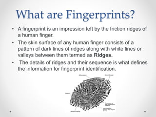 Fingerprint Introduction Fingerprinting technology | PPTX