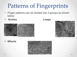 Fingerprinting technology | PPTX