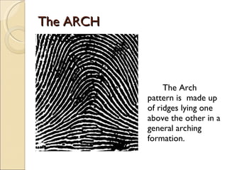 Fingerprint Pattern | PPT