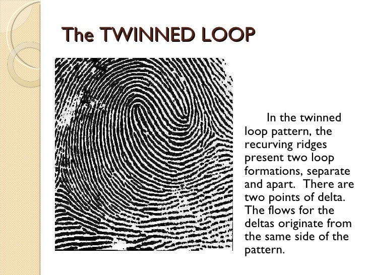 Fingerprint Pattern