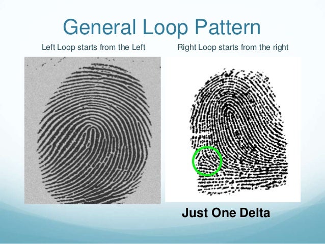 Fingerprint Patterns Enchanting Fingerprint Patterns Fingerprint Patterns Enchanting Fingerprint Patterns