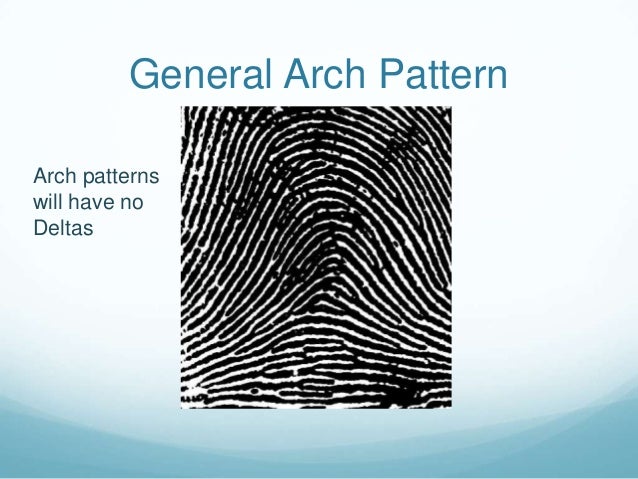 Fingerprint Patterns Unique Fingerprint Patterns Fingerprint Patterns Unique Fingerprint Patterns