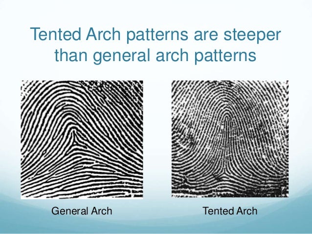 Fingerprint Patterns Unique Fingerprint Patterns Fingerprint Patterns Unique Fingerprint Patterns