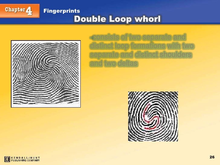 fingerprinting whorl