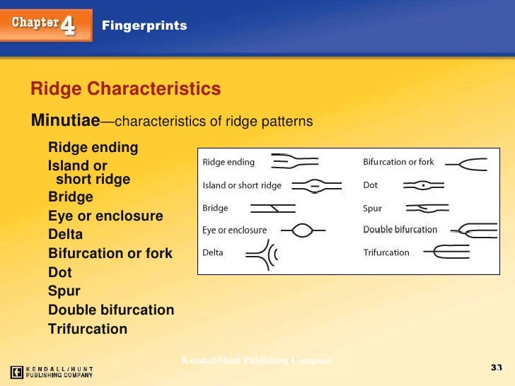 bifurcation fingerprint bifurcation fingerprint