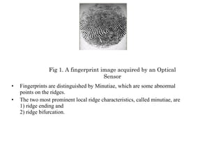 Fig 1. A fingerprint image acquired by an Optical
Sensor
•
•

Fingerprints are distinguished by Minutiae, which are some abnormal
points on the ridges.
The two most prominent local ridge characteristics, called minutiae, are
1) ridge ending and
2) ridge bifurcation.

 