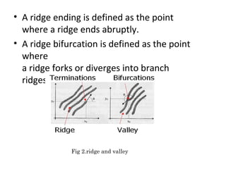 • A ridge ending is defined as the point
where a ridge ends abruptly.
• A ridge bifurcation is defined as the point
where
a ridge forks or diverges into branch
ridges.

Fig 2.ridge and valley

 