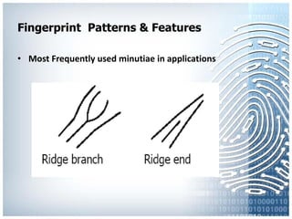 Fingerprint recognition | PDF