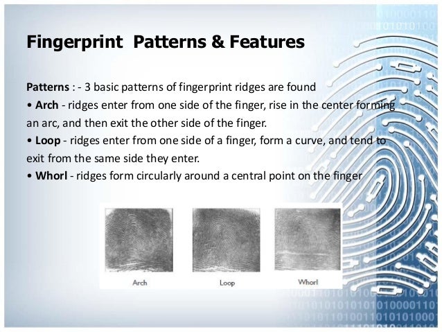 9 patterns fingerprint recognition Fingerprint