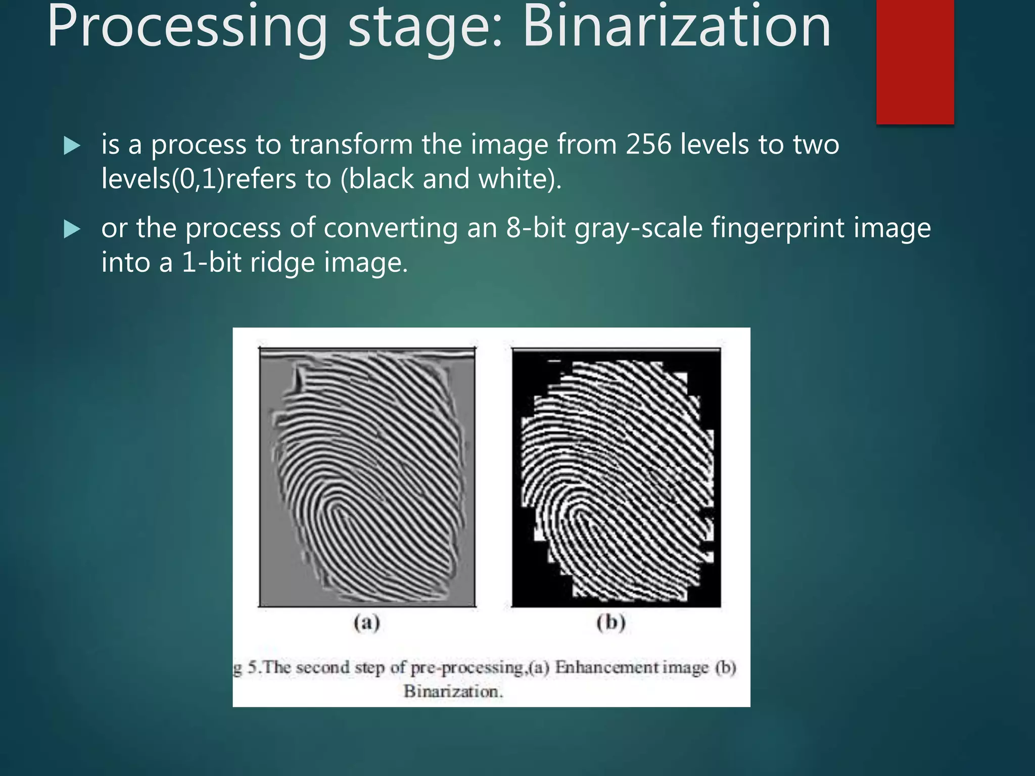Processing stage: Binarization
 is a process to transform the image from 256 levels to two
levels(0,1)refers to (black and white).
 or the process of converting an 8-bit gray-scale fingerprint image
into a 1-bit ridge image.
 