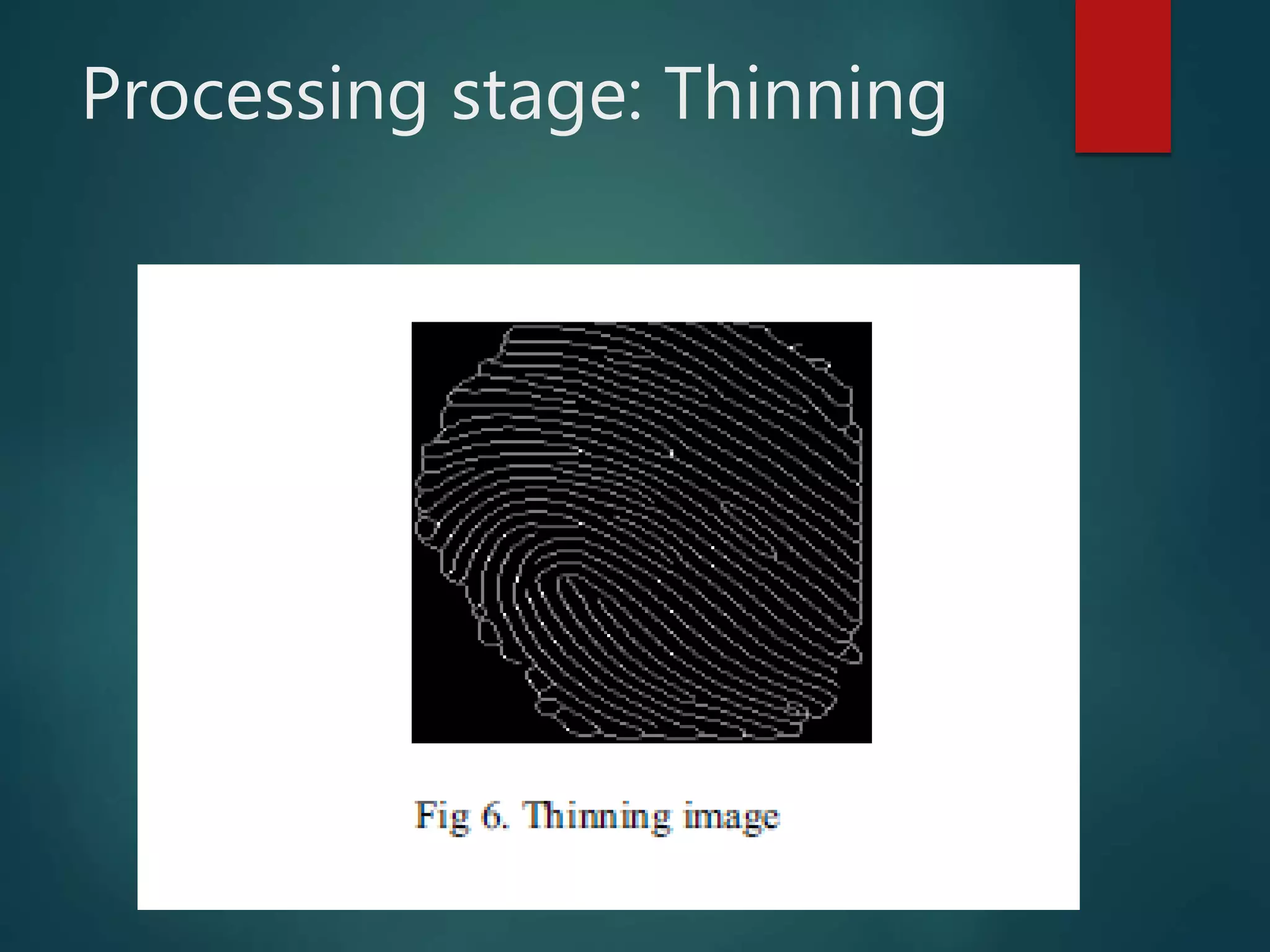 Processing stage: Thinning
 