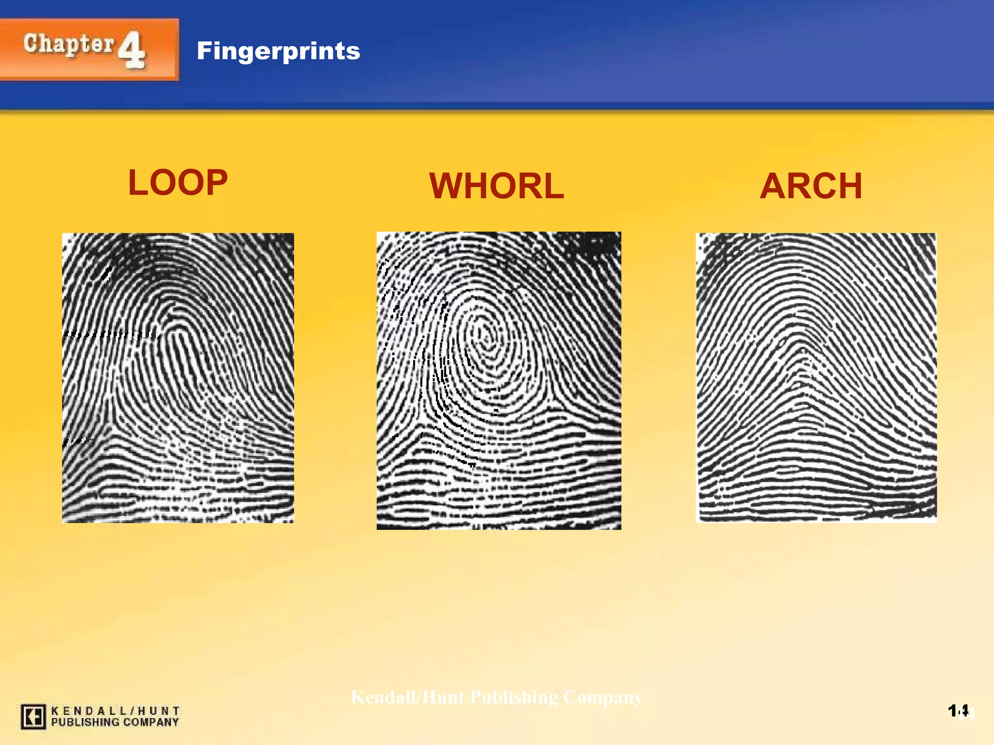 LOOP Kendall/Hunt Publishing Company WHORL ARCH 