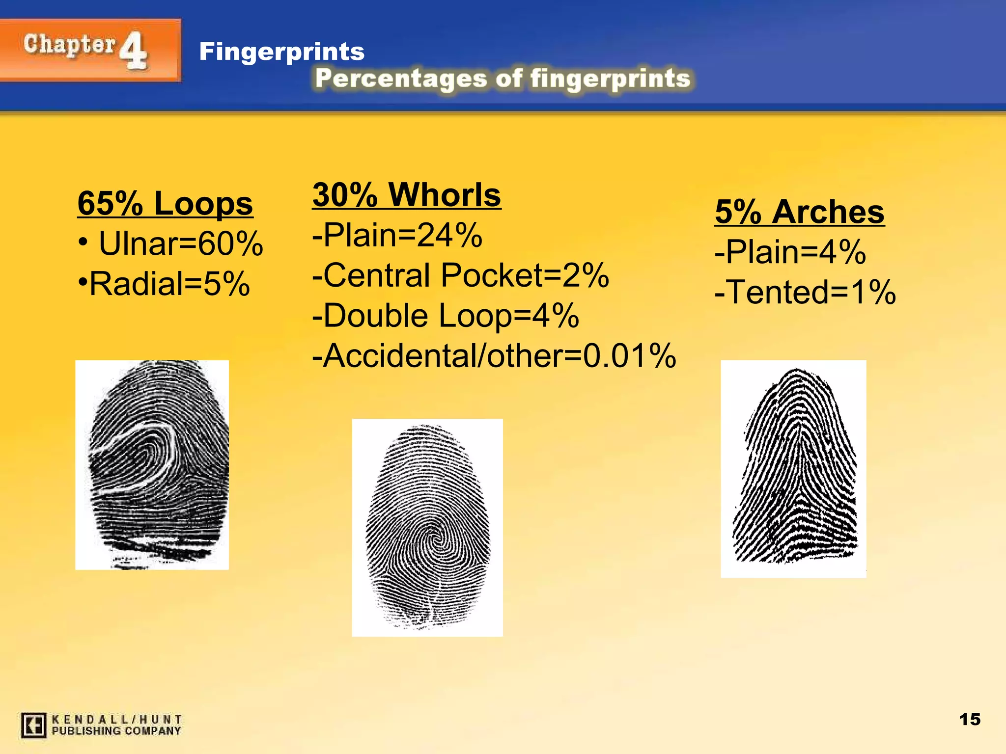 30% Whorls -Plain=24% -Central Pocket=2% -Double Loop=4% -Accidental/other=0.01% 65% Loops Ulnar=60% Radial=5% 5% Arches -Plain=4% -Tented=1%  
