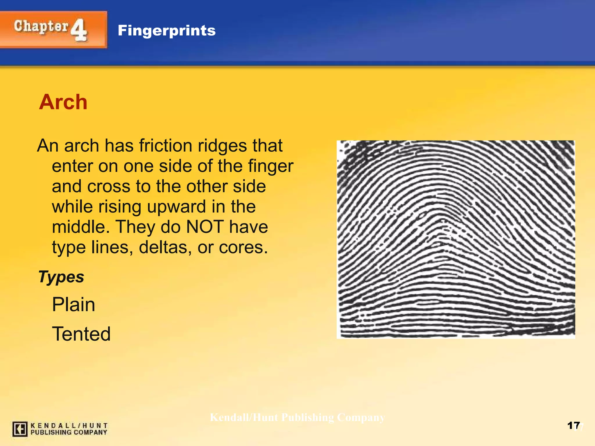 Arch An arch has friction ridges that enter on one side of the finger and cross to the other side while rising upward in the middle. They do NOT have type lines, deltas, or cores. Types Plain Tented Kendall/Hunt Publishing Company 