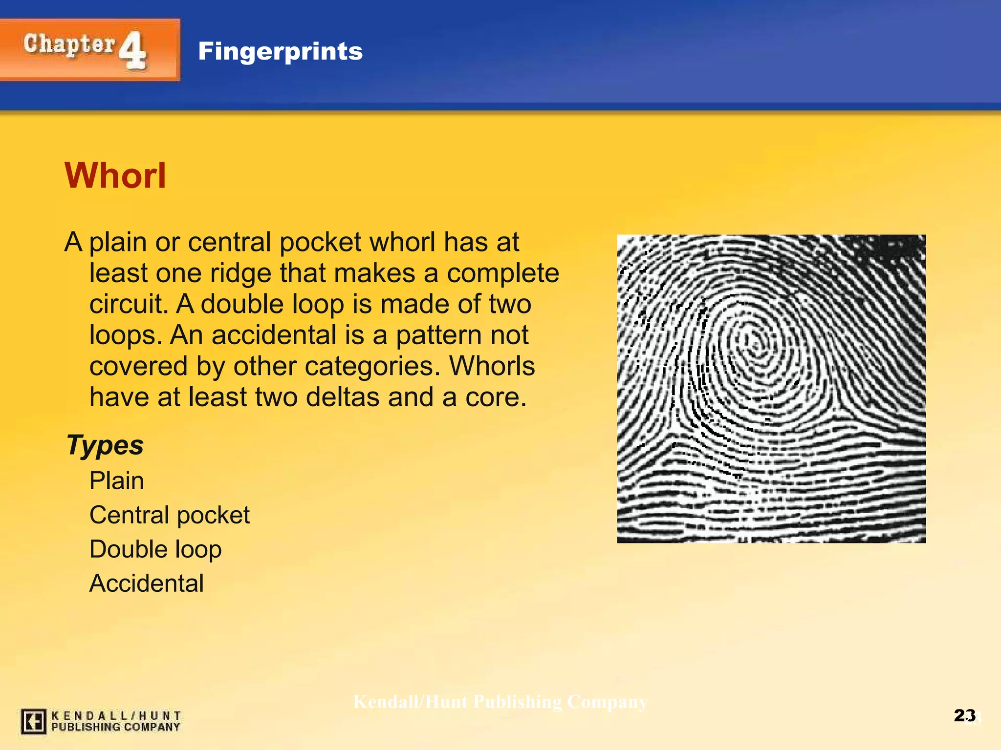 Whorl A plain or central pocket whorl has at least one ridge that makes a complete circuit. A double loop is made of two loops. An accidental is a pattern not covered by other categories. Whorls have at least two deltas and a core. Types Plain Central pocket Double loop Accidental Kendall/Hunt Publishing Company 