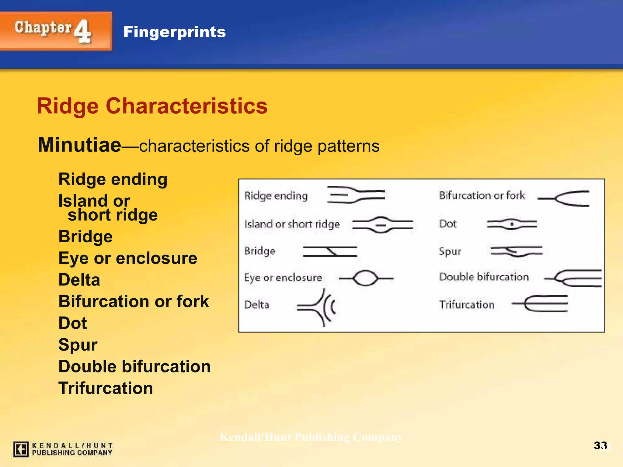 Ridge Characteristics Minutiae — characteristics of ridge patterns Ridge ending Island or  short ridge Bridge Eye or enclosure Delta Bifurcation or fork  Dot Spur Double bifurcation Trifurcation Kendall/Hunt Publishing Company 