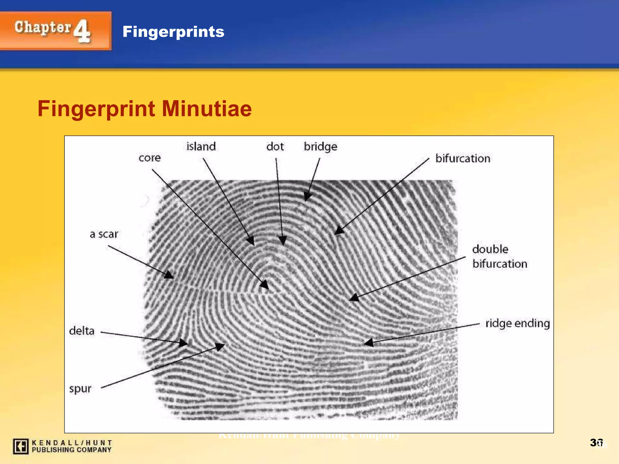 Fingerprint Minutiae Kendall/Hunt Publishing Company 