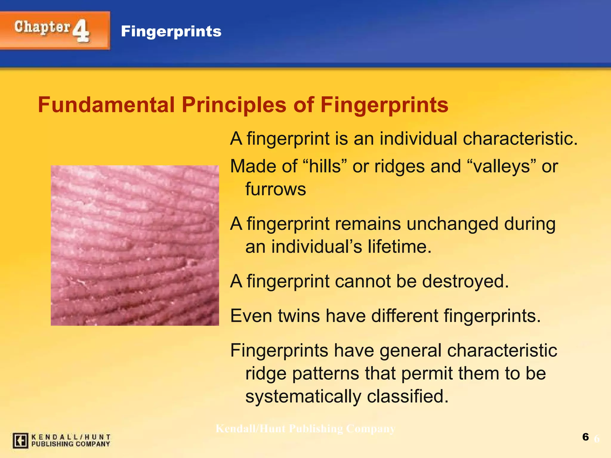 Fundamental Principles of Fingerprints A fingerprint is an individual characteristic. Made of “hills” or ridges and “valleys” or furrows A fingerprint remains unchanged during an individual’s lifetime. A fingerprint cannot be destroyed. Even twins have different fingerprints. Fingerprints have general characteristic ridge patterns that permit them to be systematically classified. Kendall/Hunt Publishing Company 