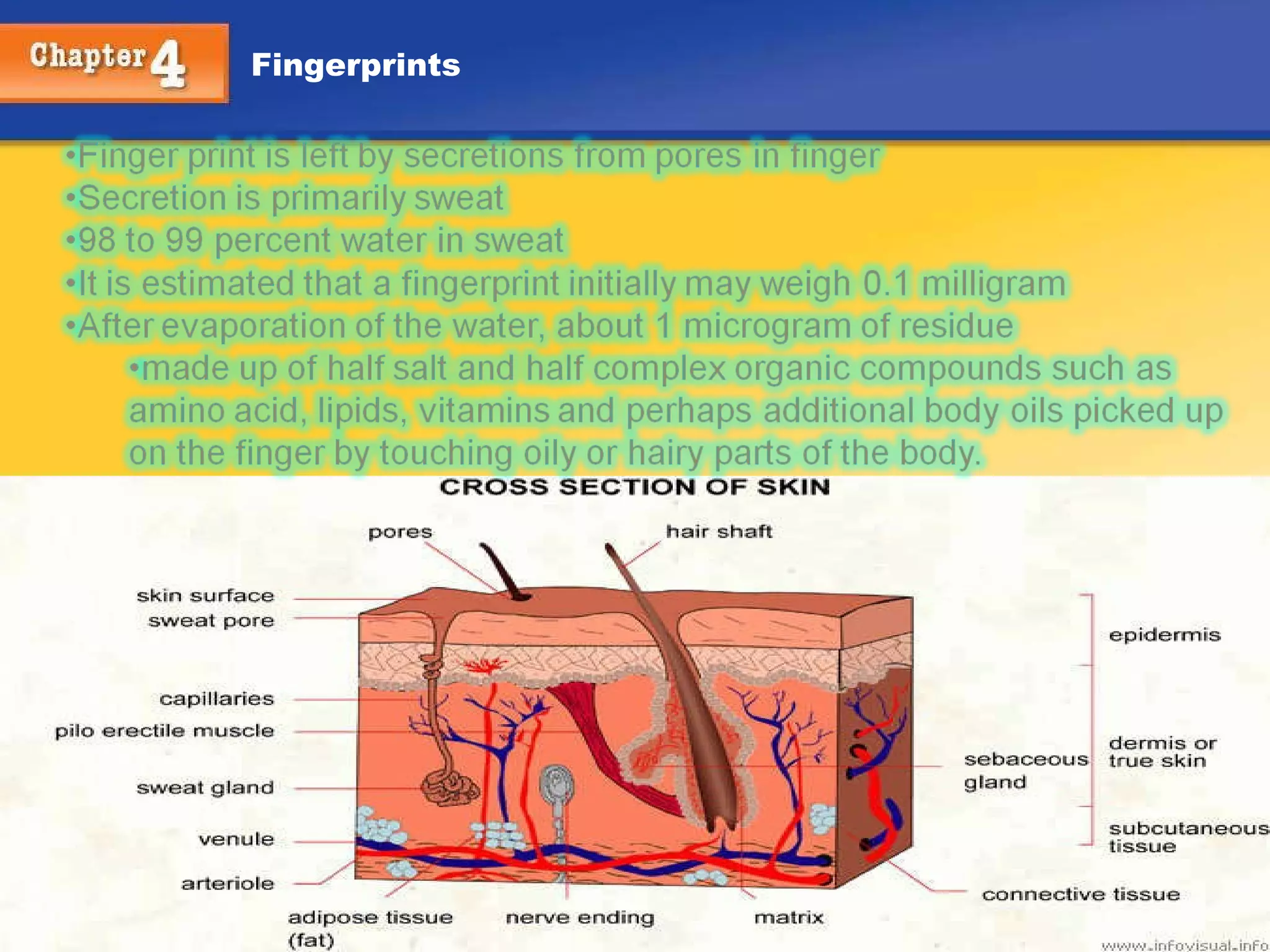 Kendall/Hunt Publishing Company 