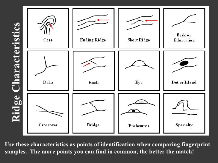 Finger print revised jan 10
