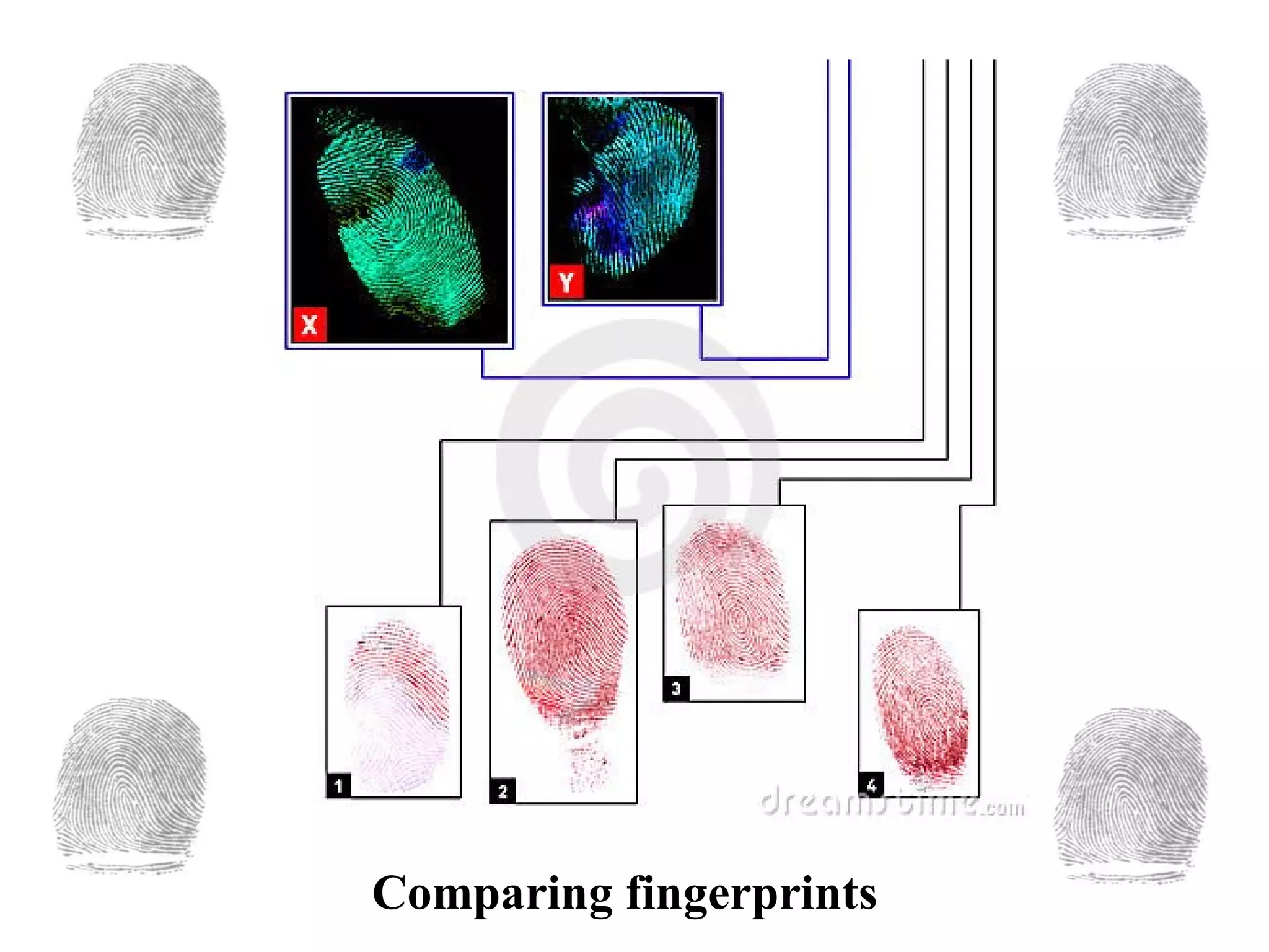 Comparing fingerprints 