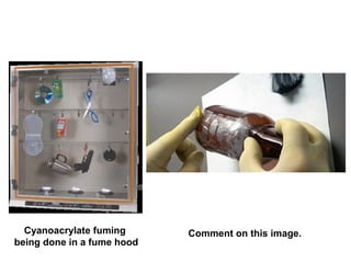 Cyanoacrylate fuming
being done in a fume hood
Comment on this image.
 
