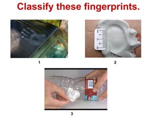 Classify these fingerprints.
1 2
3
 
